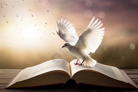 书中小鸟停留在书本上的小鸟背景