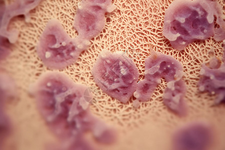 细胞黏膜的概念图图片