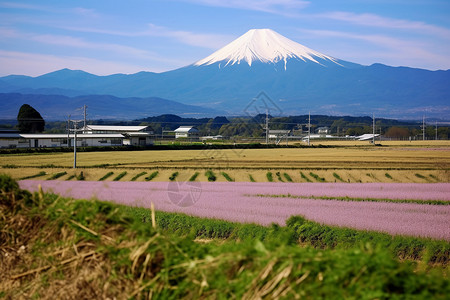 特别雄伟的日本富士山背景图片