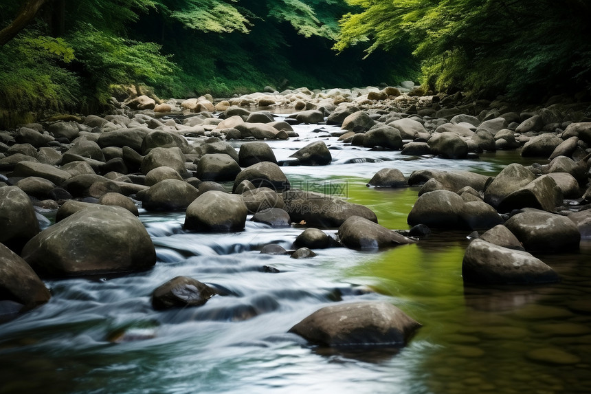 公园里的河水图片