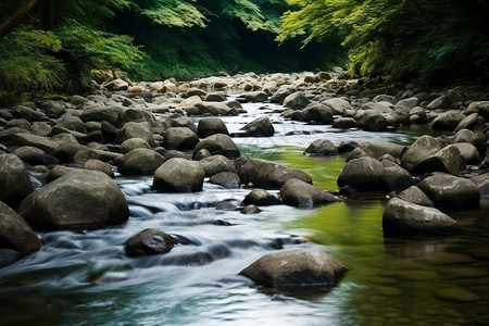 公园里的河水图片