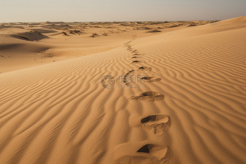 撒哈拉沙漠中的足印图片
