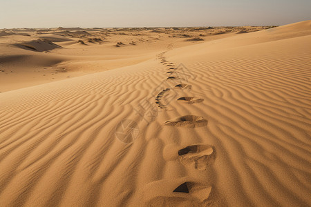 撒哈拉沙漠中的足印背景