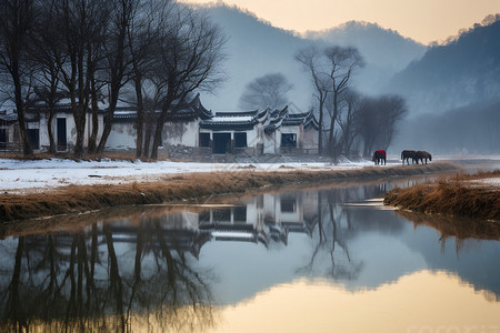 下雪的乡村风景图片