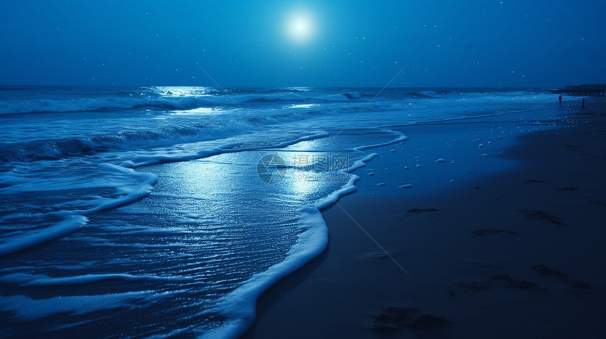 黑暗中的荧光海滩图片