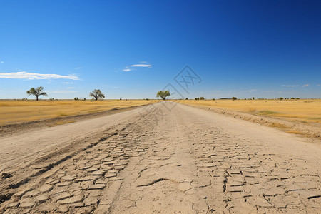 干裂沙漠公路图片