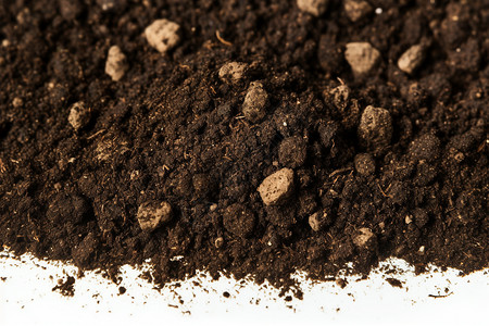 腐殖质土黑色的营养土背景