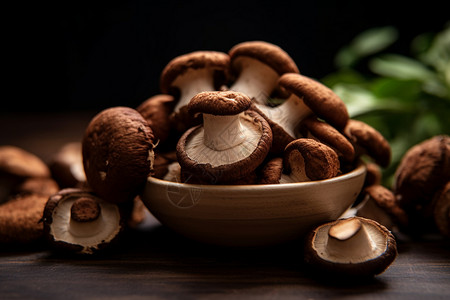 健康的蔬菜蘑菇图片