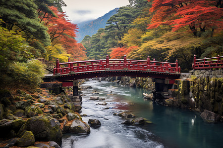 山间森林的美丽景观背景图片