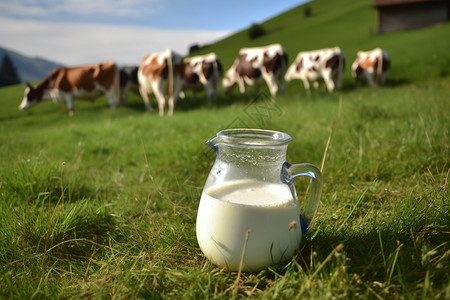 挤奶工农村的畜牧业的奶牛背景