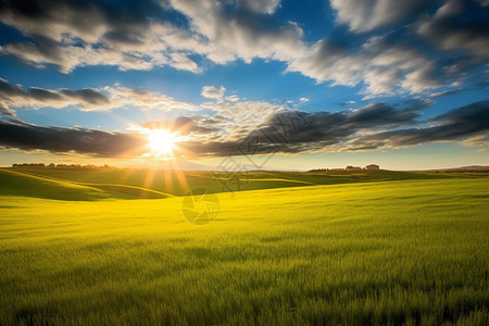 草原上冉冉升起的太阳高清图片