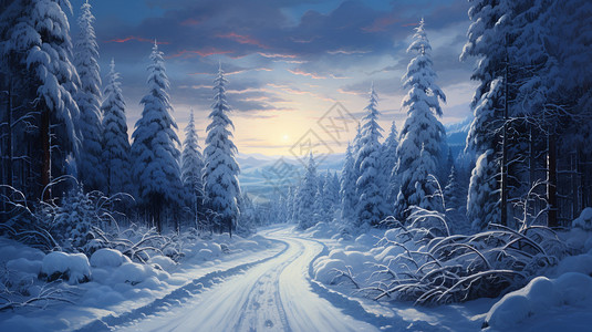森林中冰雪覆盖的道路背景图片