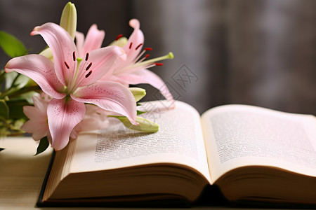书上有朵花背景图片