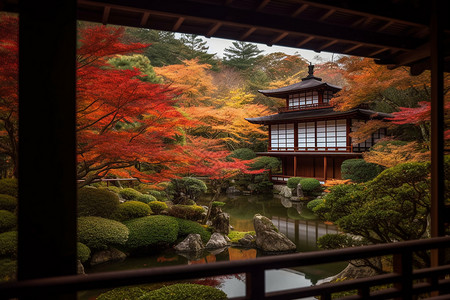 小松菇红色枫叶背景