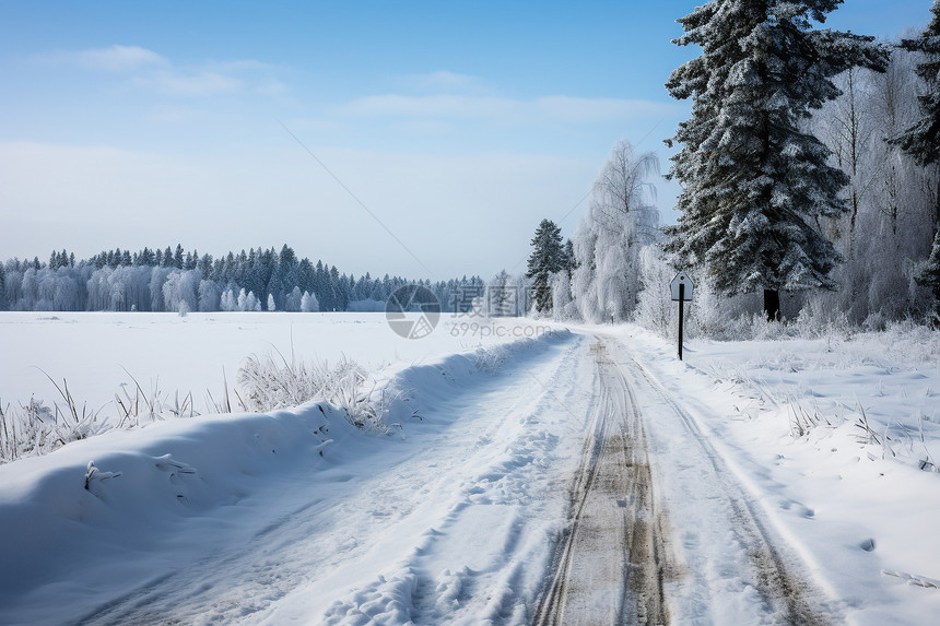 雪后的乡间道路图片