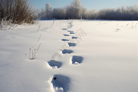 好冷表情包白色雪地中脚印背景