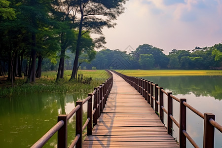 笔直湖上木桥宁静的湖上木栈道背景