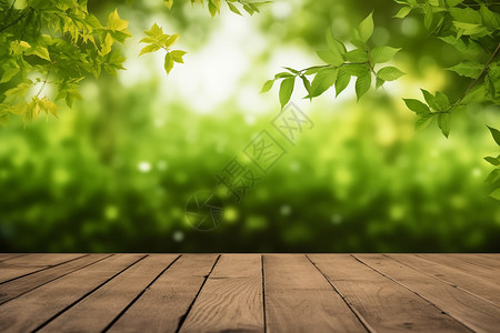 模糊的绿色背景木制板前景背景