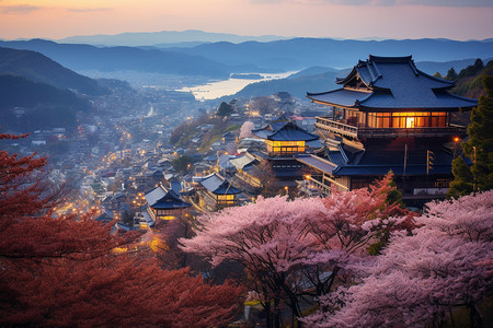 京都盛开的樱花高清图片