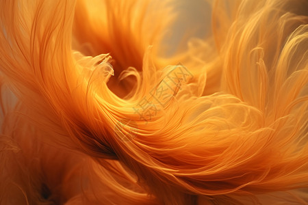 橙色头发黄色抽象流体背景设计图片