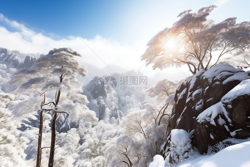 黄山的雪后景观图片