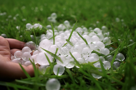 城市中突降的冰雹图片