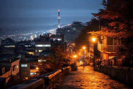 夜色中的居民区小路高清图片