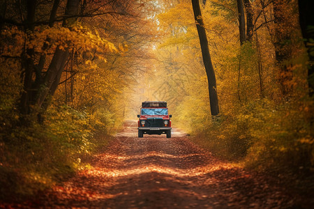 秋天森林中行驶的汽车图片