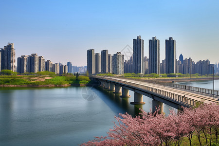 河岸城市城市美丽的河岸景观背景