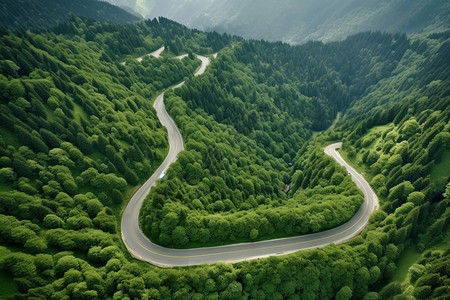 丘陵森林中的道路图片