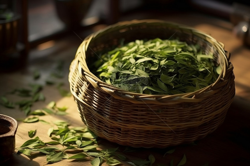 新鲜晾晒的绿色茶叶图片