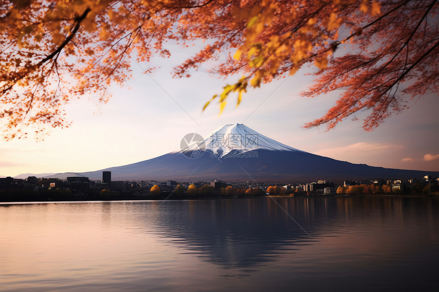 富士山的美丽景观图片
