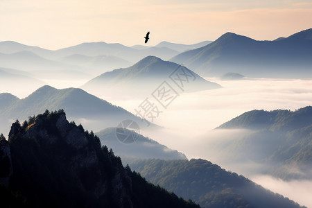 云雾中宁静的山脉图片