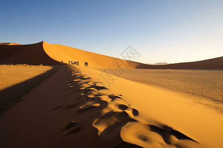 沙漠的美丽景观图片