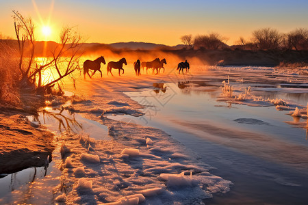 日落下的马群图片