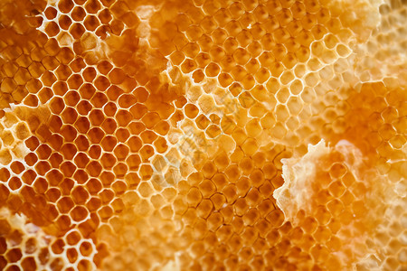 新鲜蜂蜜的细节图片
