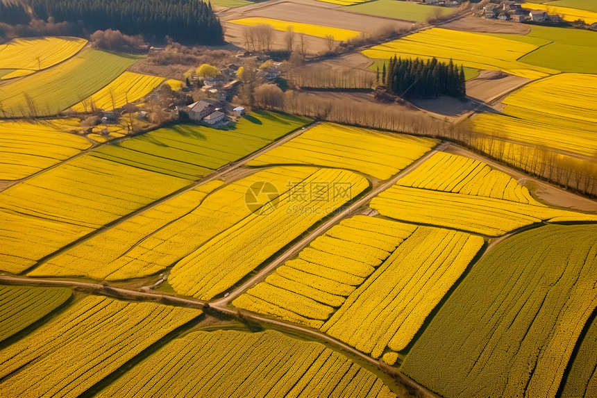 空中的农田图片