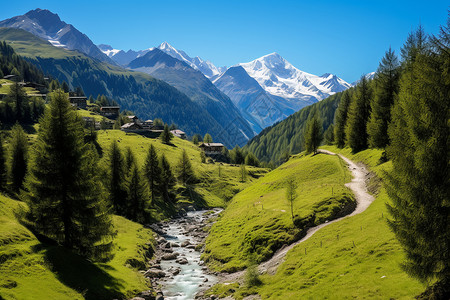 瑞士国家公园的图高清图片