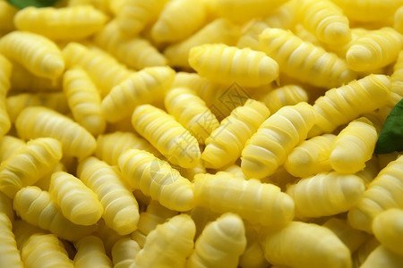 一条条黄色的昆虫高清图片