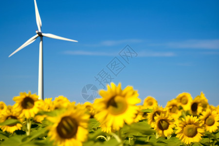 蓝天下的风车涡轮机背景图片