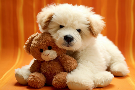 有趣可爱小狗拥抱熊图片