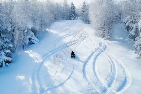 冬天骑行素材森林雪地上的雪地摩托背景