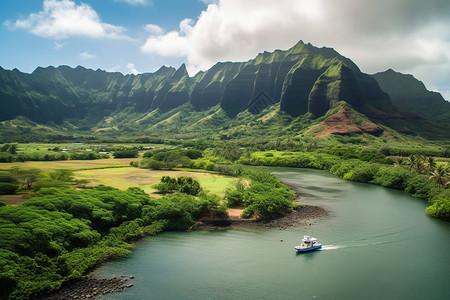 夏威夷山户外的夏季美景背景