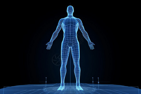 医学研究的人体经络图背景图片