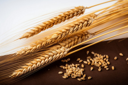 乡村传统小麦谷物图片