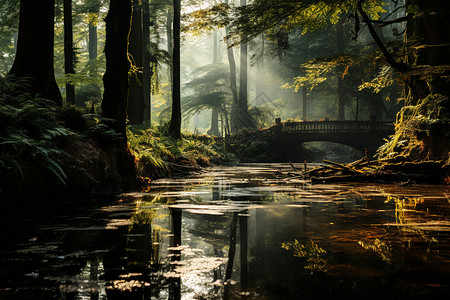 美丽的森林油画图片