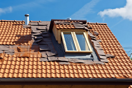 家庭猫修复房子的屋顶设计图片