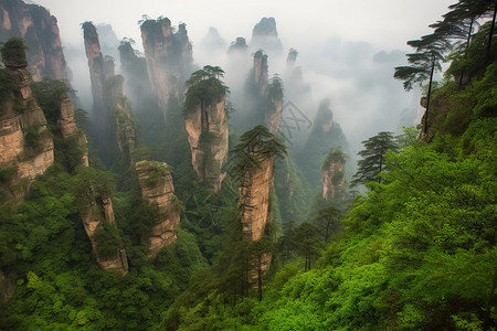 绿色的山峰图片