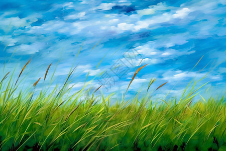 草坪的插画背景图片