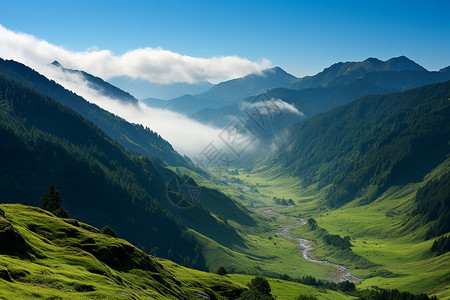 湿润的山谷图片